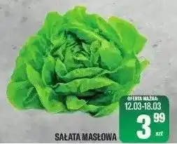 TomiMarkt Sałata masłowa oferta