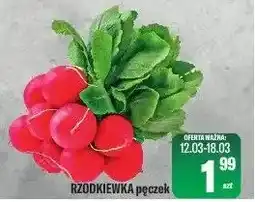 TomiMarkt Rzodkiewka pęczek oferta