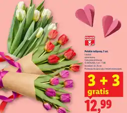Lidl Bukiet tulipanów Polskie kwiaty oferta
