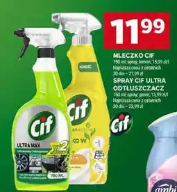 Stokrotka Spray Cif Ultra Odtłuszczacz oferta