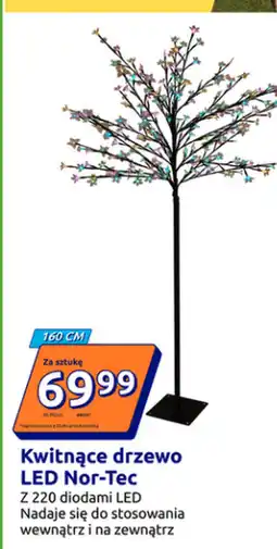 Action Drzewo dekoracyjne oferta