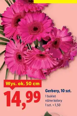 Lidl Bukiet okolicznościowy Ok oferta