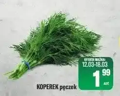 Koperek pęczek