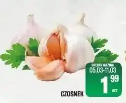 TomiMarkt Czosnek oferta