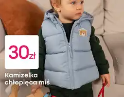 Pepco Kamizelka chłopięca miś oferta