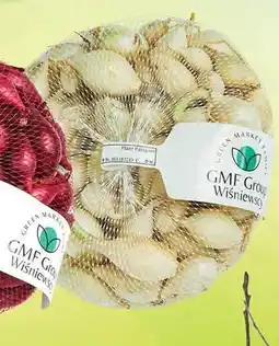 Dino Cebula dymka biała oferta