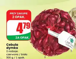 Dino Cebula dymka czerwona oferta