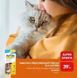AquaelZOO Tabletka przeciwpasożytnicza dla kotów AdTab+ oferta