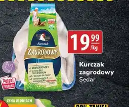 API MARKET Kurczak zagrodowy Sedar oferta