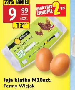 API MARKET Jaja klatka M Fermy Wiejak oferta