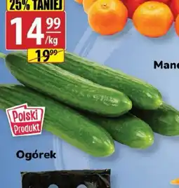 API MARKET Ogórek oferta