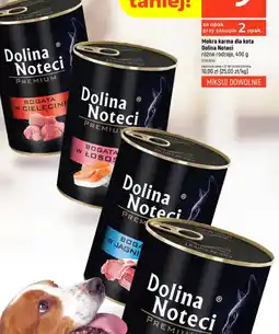 Dealz Dolina Noteci karma dla kota oferta