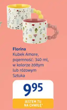 dm drogerie markt Florina Kubek Amore oferta