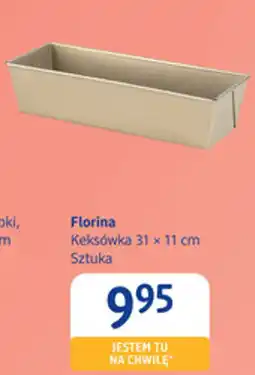 dm drogerie markt Florina Keksówka oferta