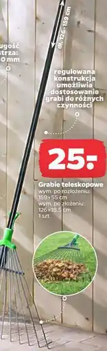 Netto Grabie teleskopowe oferta