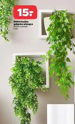 Netto Dekoracyjna gałązka wisząca oferta