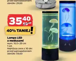 Netto Lampa LED z meduzami wym. 10,5 x 29 cm oferta