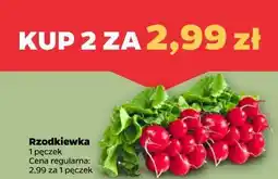 Netto Rzodkiewka oferta