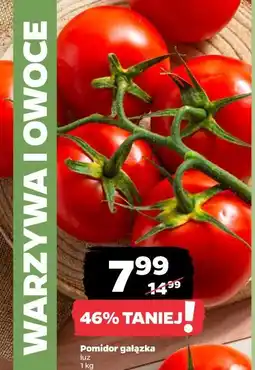 Netto Pomidor gałązka oferta