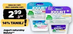 Netto Jogurt naturalny Maluta (różne rodzaje) oferta