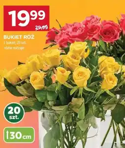 Stokrotka Bukiet róż 20 szt oferta