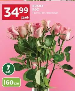 Stokrotka Bukiet róż 7 szt oferta