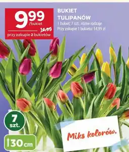 Stokrotka Bukiet Tulipanów 7 szt oferta