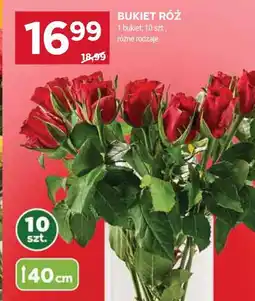 Stokrotka Bukiet róż 10 szt oferta