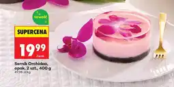 Biedronka Sernik Orchidea oferta