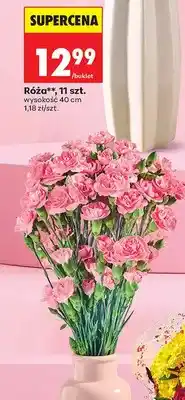 Biedronka Róża 11 szt. wysokość 40 cm oferta