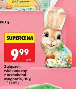 Biedronka Zająćek wielkanocny z orzechami Magnetic oferta