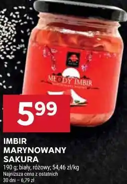 Stokrotka Imbir marynowany Sakura oferta