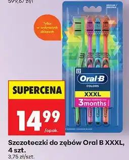 Biedronka Szczoteczki do zębów Oral B XXXL oferta