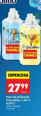 Biedronka Płyn do płukania różne rodzaje oferta