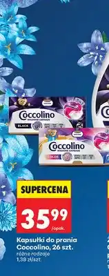 Biedronka Kapsułki do prania Black, 24 szt oferta