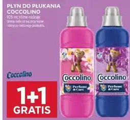 Stokrotka Płyn do płukania Coccolino oferta