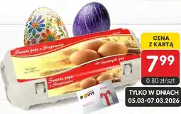 Market Point Jajka kl. L oferta