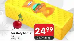 Market Point Ser Złoty Mazur oferta