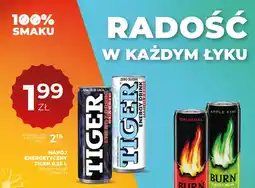 Duży Ben Napój energetyczny Burn 0,25l Apple Kiwi oferta