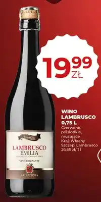 Duży Ben Wino Lambrusco 0,75l czerwone, półsłodkie, musujące oferta