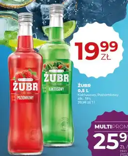 Duży Ben Wódka Kaktusowy oferta
