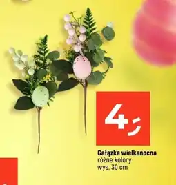 Dealz Gałązka wielkanocna różne kolory oferta