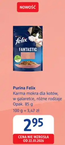 dm drogerie markt Purina Felix Karma mokra dla kotów oferta