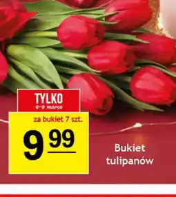 Gram Market Bukiet tulipanów oferta