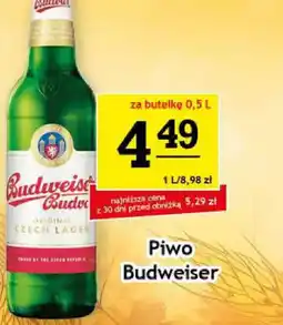 Gram Market Piwo Budweiser oferta