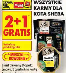 Biedronka Wszystkie karmy dla kota Sheba oferta
