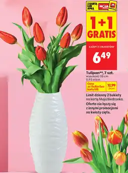 Biedronka Tulipan, 7 szt oferta
