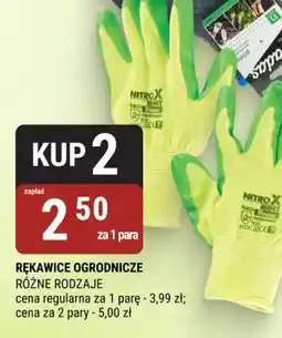 bi1 Rękawice ogrodnicze oferta
