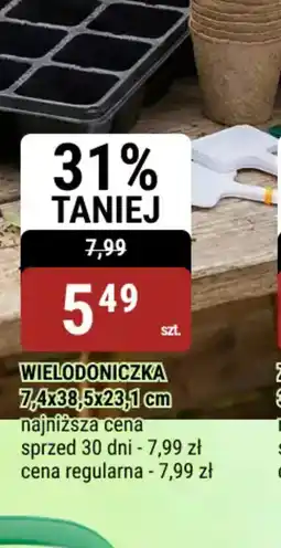 bi1 Wielodoniczka oferta