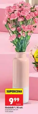 Biedronka Goździki 10 szt oferta